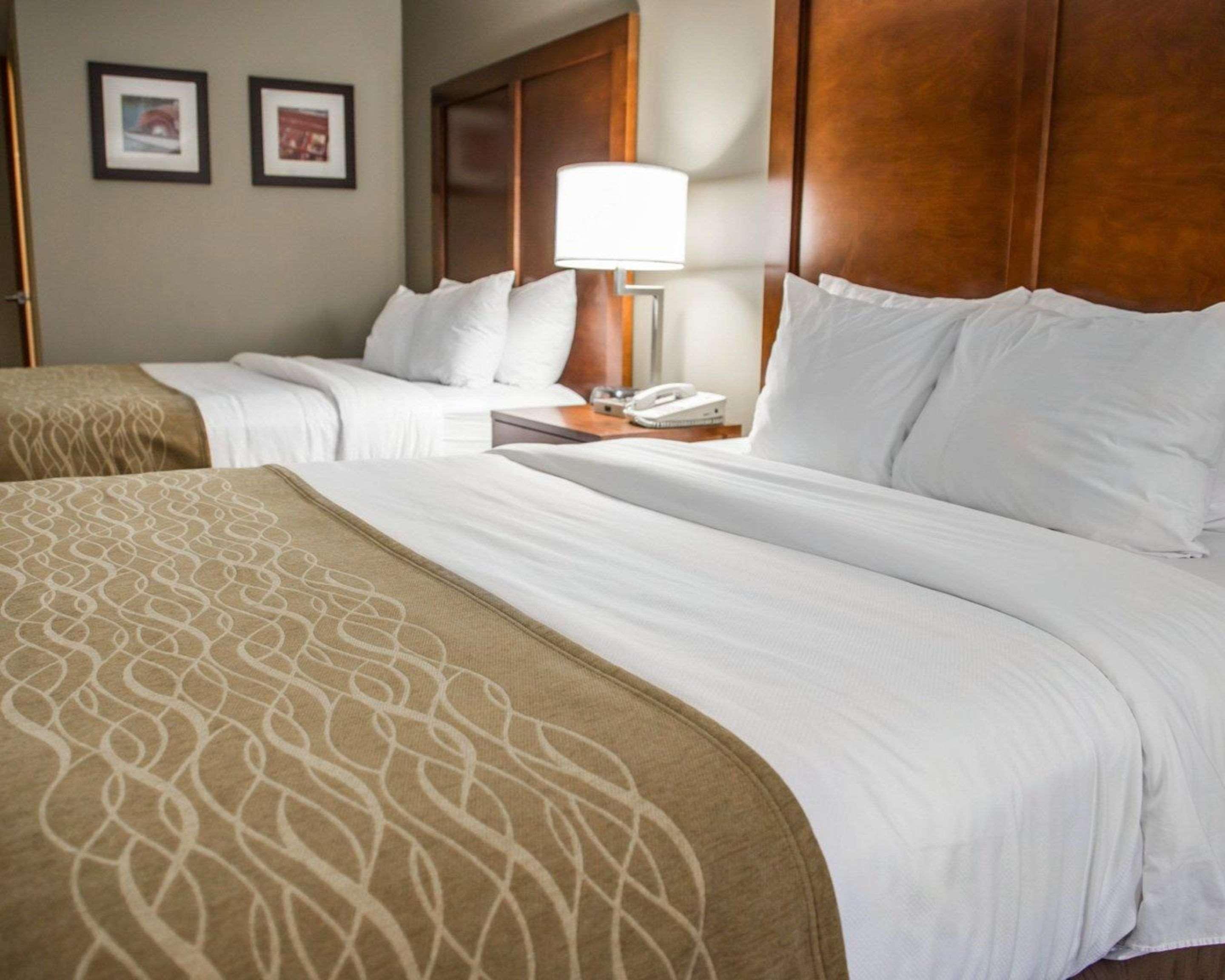 Comfort Inn & Suites Riverview Le Claire Exterior foto